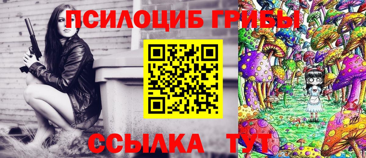 Галлюциногенные грибы мухоморы Новоалександровск