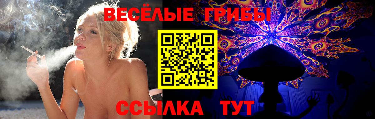 Псилоцибиновые грибы Psilocybine cubensis  Вход с VPN  Новоалександровск 